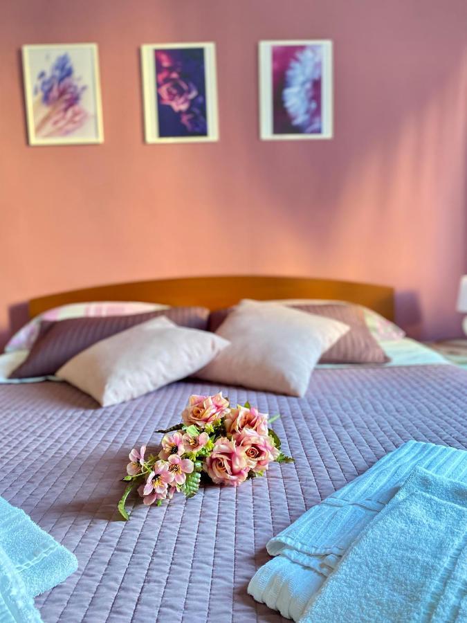 Dreams In Rome - Colosseum Apartment Kültér fotó